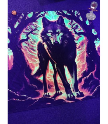 بک دراپ بلک لایت