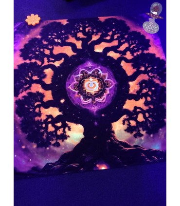 بک دراپ بلک لایت