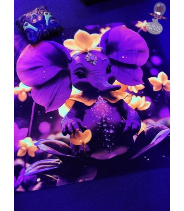 بک دراپ بلک لایت