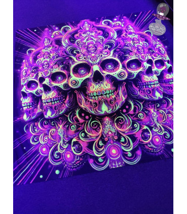 بک دراپ بلک لایت