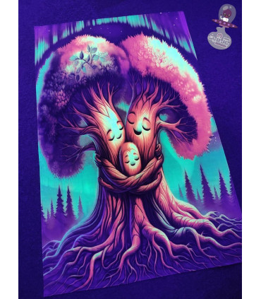 بک دراپ بلک لایت